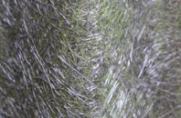 Mainholm fibreglass roof work